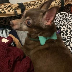 Meet your Posher, Maria